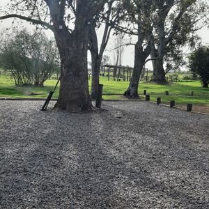 últimos Lotes En Venta En Carmelo