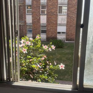 Apartamento En Alquiler De 2 Dormitorios Y Amplias Areas Verdes En Puerto Buceo