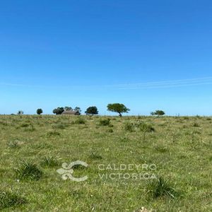 Campo En Tacuarembó Ref. 9132