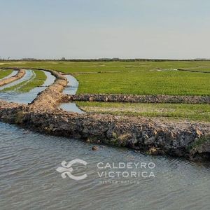 Campo En Venta En Treinta Y Tres Ref. 9285