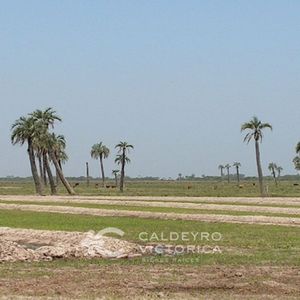 Campo En Venta En Rocha Ref. 4535