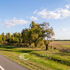 Terreno En Venta En Guazuvirá Ref. 9423