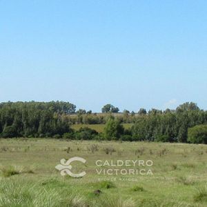 Campo En Venta En Canelones Ref. 578