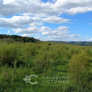 Campo En Venta En Rivera Ref. 7945