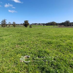 42 Hectáreas En Venta En Maldonado 9437 , Ideal Para Lotear