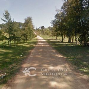 Gran Terreno Frente Al Golf En Punta Del Este 9891