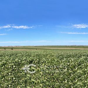 Venta De Campo En San José 10042, De 68 Hectáreas