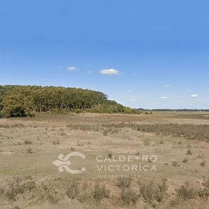 Venta Chacra O Terreno En Punta Del Este 8814, 4 Hectáreas