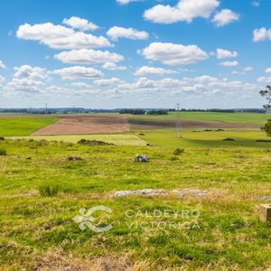 Venta De Campo En San Carlos 1609, Maldonado, 99 Ha