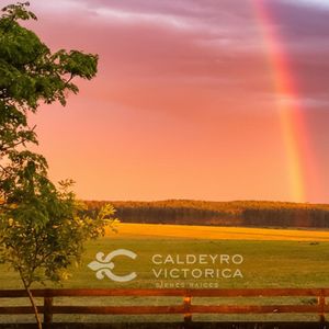 Campo En Venta En Río Negro 10104, 100 Ha