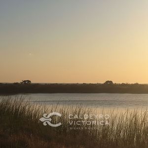 Campo En Venta En San José 9569, De 36 Hectáreas Con Costa Al Río De La Plata