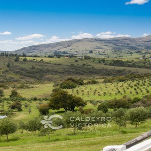 Campo En Venta Ne Maldonado 10164, Con Fábrica De Aceite, Sobre Ruta 39