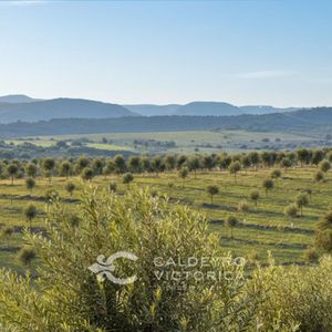 Venta De Chacra Con Olivos En Garzón 7458, Maldonado.