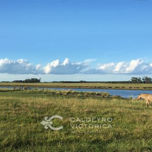 Chacra En Barra De Valizas 5272, Rocha, 13,2 Hectáreas Con Costa Sobre El Arroyo Valizas