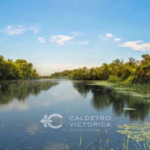 Campo Ganadero Arrocero En Rocha 9734
