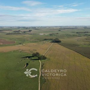 Campo En Venta En Flores 10199, 1379 Hectáreas, Agrícola-ganadero