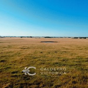 Campo En Venta En Canelones 8148, Ganadero, Agrícola