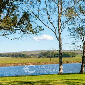Campo Productivo De 553 Ha En Rocha 8224