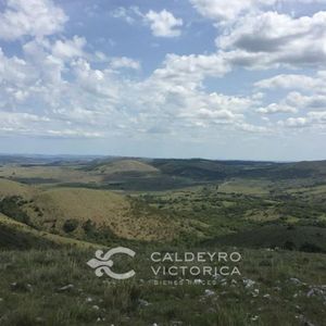 Campo En Maldonado Y Lavalleja Ref. 7468