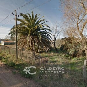 Terreno Próximo Al Carrasco Polo Ref. 8731