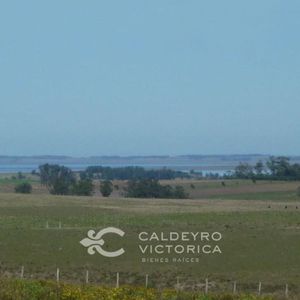 Campo En Venta En Rocha Ref. 5130