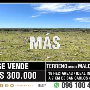 Venta Terreno San Carlos Maldonado Imas.uy Fm