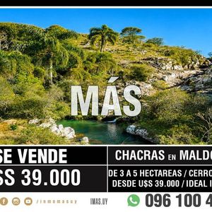 Chacra Venta Cerro Catedral Rocha Imas.uy Fm