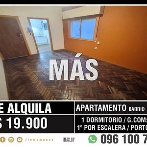 Apartamento Alquiler Cordón Montevideo Imas.uy S