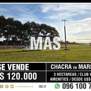 Venta Chacra Villa Argentina Laguna Campo Imas.uy Lc