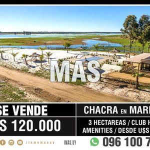 Venta Chacra El Pinar Laguna Campo Imas.uy Lc