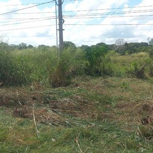 En Venta Terreno Zona Norte Sobre Carretera Entre Warnes Y Montero