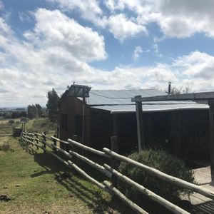Campo A La Venta 40 Hectáreas En Poblado Colón, Lavalleja
