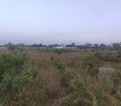 Terreno En Venta 
