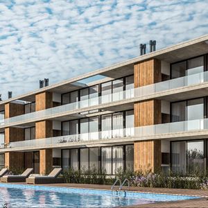 Grutas De La Ballena