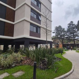 Grou Bosque - Bosque I