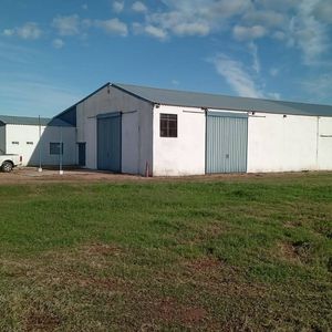 Alquiler - Local Industrial- Chacra 5has Con Galpon 600mt2,  En Ruta 6 - Toledo - Canelones.
