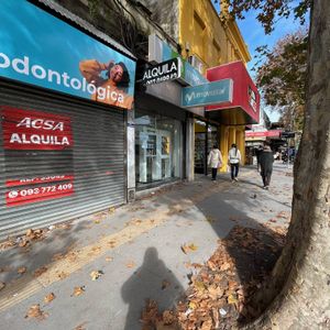 Alquiler - Local Comercial En Excelente Punto De La Union - 8 De Octubre Y Serrato
