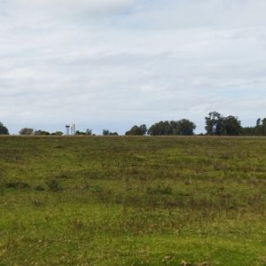 Chacra En La Paloma Proxima A Ruta 10 