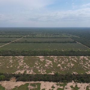 Propiedad En Venta En Pailon