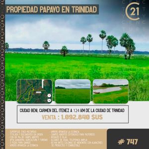 Inmueble # 747 Propiedad Papayo En Trinidad