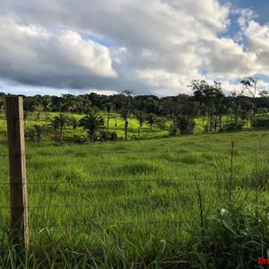 En Venta Propiedad Ganadera  A 39 Km De San Javier