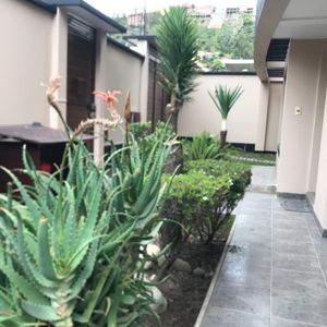 Alquila Bonita Casa Ubicada En Irpavi