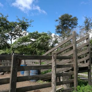 Venta Linda Propiedad A 10 Km De Paurito