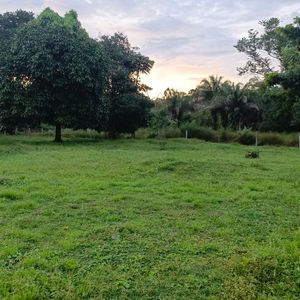 En Venta 4.105 Hectáreas Sobre Carretera Zona Agrícola Guayaramerín, Beni