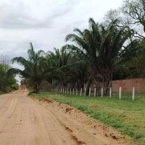 Propiedad En Venta De 2.3 Hectáreas Zona Urubo Comunidad Tarumatu 