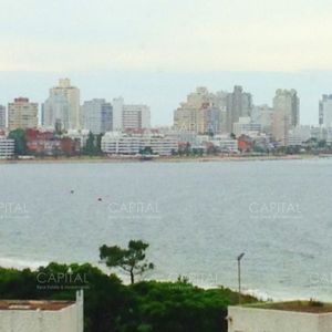 Apartamento En Alquiler Punta Del Este Un Dormitorio