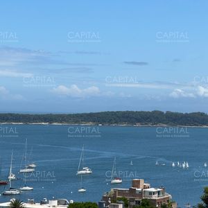 Apartamento En Peninsula De 1 Dormitorio Y Medio