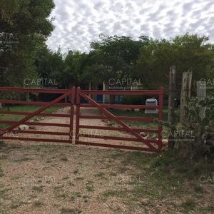 Casa En Venta Ubicada En La Juanita, Punta Del Este