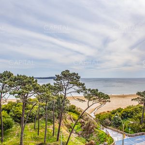 Hermoso Departamento En Venta De 3 Dormitorios.