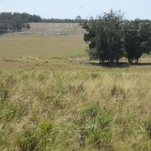 Lote En Venta En Cerro Eguzquiza Ideal Para Barrio Privado E Inversionistas.